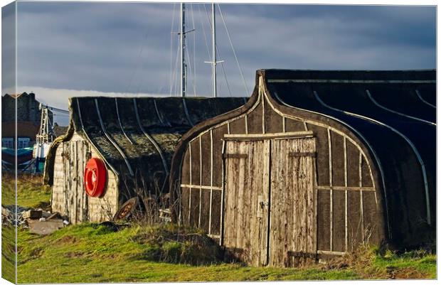 Holy Island Boat Sheds Lindisfarne Canvas Print by Martyn Arnold