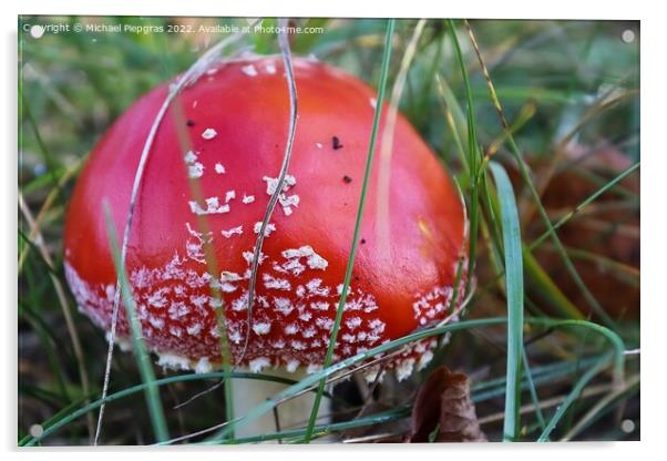 Red poisonous mushroom Amanita muscaria known as the fly agaric  Acrylic by Michael Piepgras