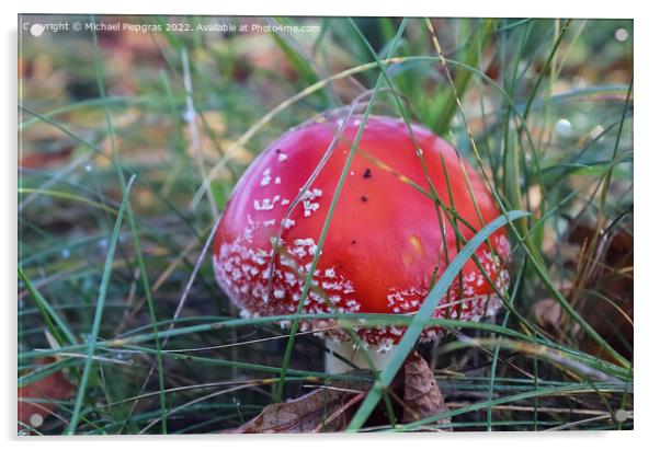 Red poisonous mushroom Amanita muscaria known as the fly agaric  Acrylic by Michael Piepgras