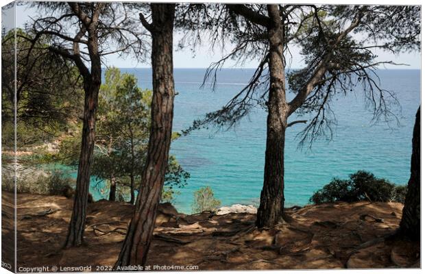 Looking out to the ocean from a forest along the Costa Brava coastline in Spain Canvas Print by Lensw0rld 