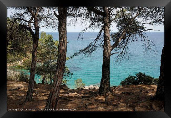 Looking out to the ocean from a forest along the Costa Brava coastline in Spain Framed Print by Lensw0rld 
