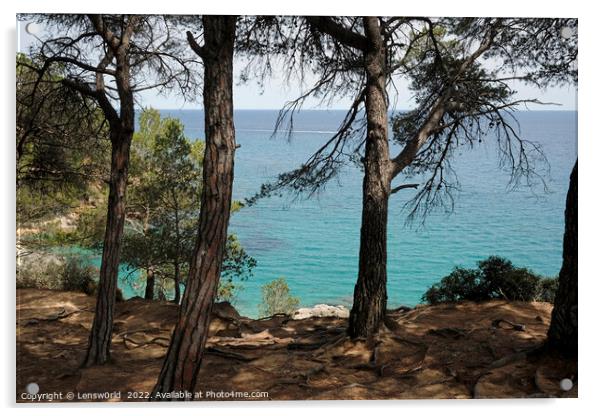 Looking out to the ocean from a forest along the Costa Brava coastline in Spain Acrylic by Lensw0rld 