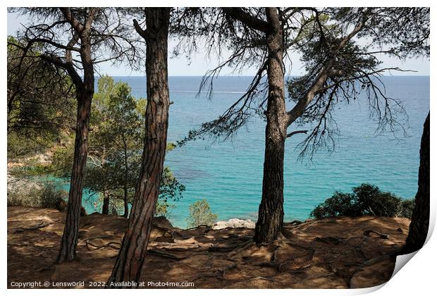 Looking out to the ocean from a forest along the Costa Brava coastline in Spain Print by Lensw0rld 