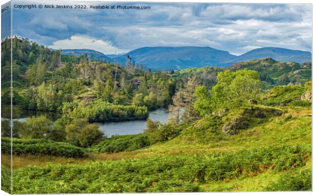 Tarn Hows Lake in the Lake District National Park Canvas Print by Nick Jenkins