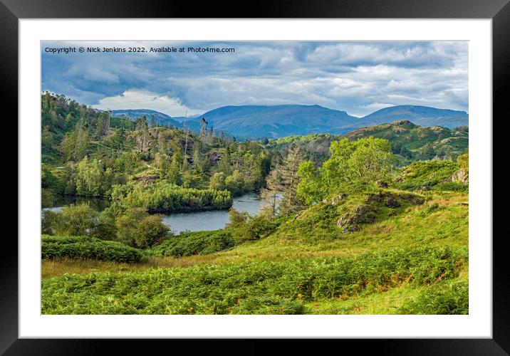 Tarn Hows Lake in the Lake District National Park Framed Mounted Print by Nick Jenkins
