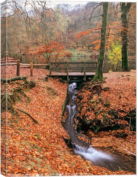 Waggoners Wells Woodland Waterfall Hampshire Canvas Print by Pearl Bucknall