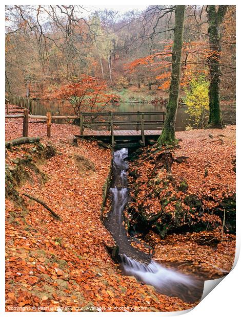 Waggoners Wells Woodland Waterfall Hampshire Print by Pearl Bucknall