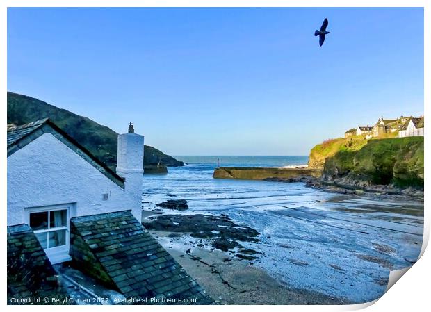 Golden Hour in Port Isaac Print by Beryl Curran