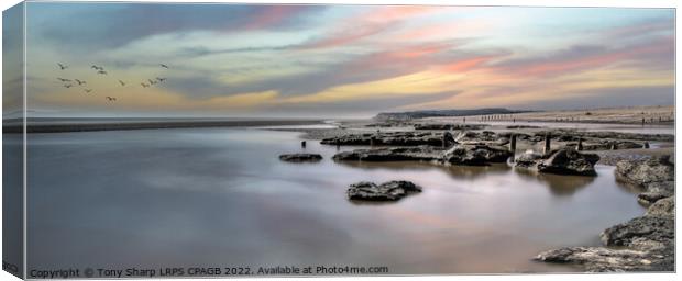 PETT LEVEL SUNSET AT LOW TIDE Canvas Print by Tony Sharp LRPS CPAGB