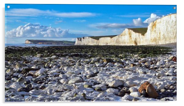 THE SEVEN SISTERS FROM BIRLING GAP Acrylic by Tony Sharp LRPS CPAGB