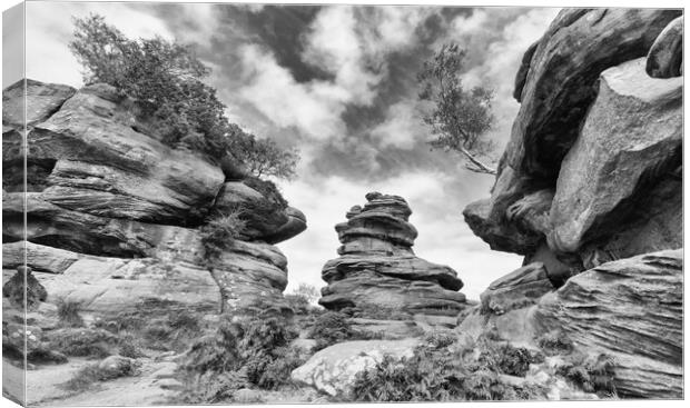 Brimham rocks in monochrome Canvas Print by Mark Godden