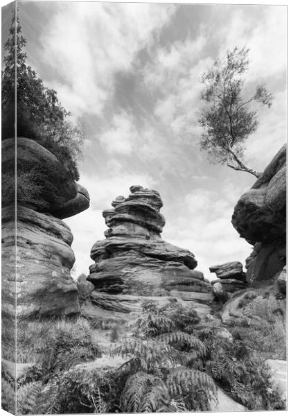 Brimham in monochrome Canvas Print by Mark Godden