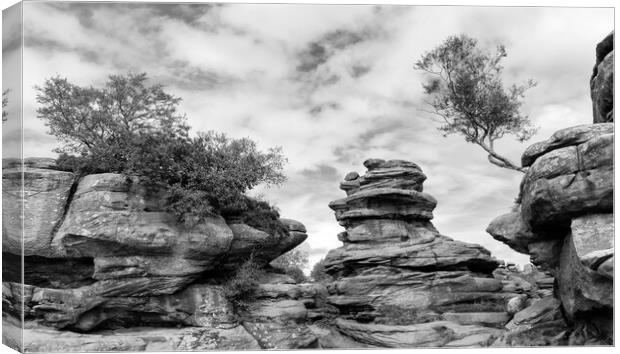 Brimham rocks in monochrome Canvas Print by Mark Godden