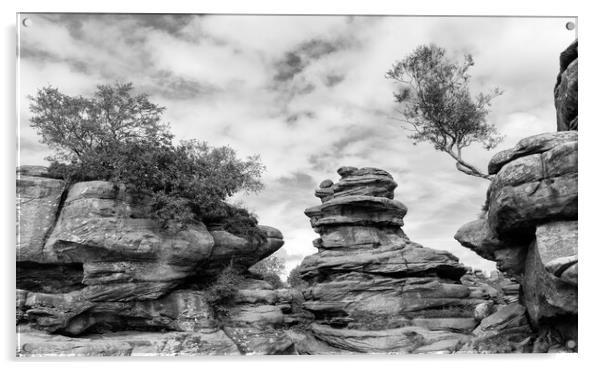 Brimham rocks in monochrome Acrylic by Mark Godden