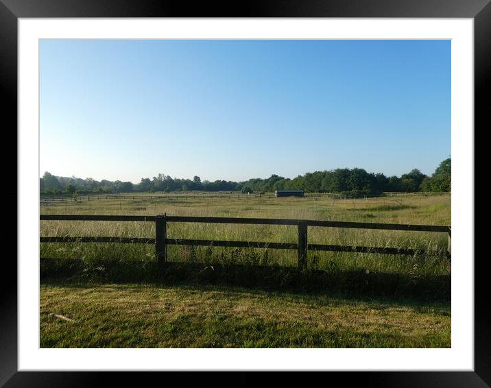 The Paddocks at Little Linton Framed Mounted Print by Simon Hill