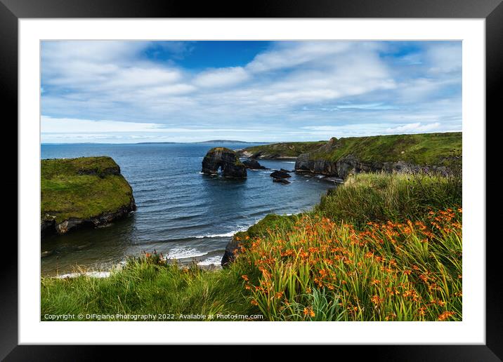 Ballybunion Cliff Walk Framed Mounted Print by DiFigiano Photography
