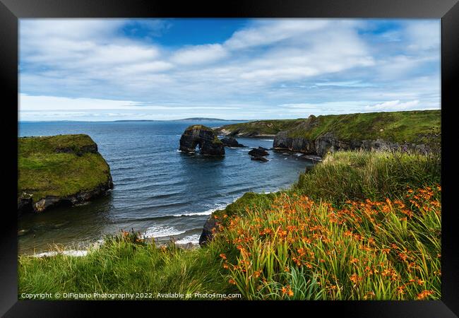 Ballybunion Cliff Walk Framed Print by DiFigiano Photography