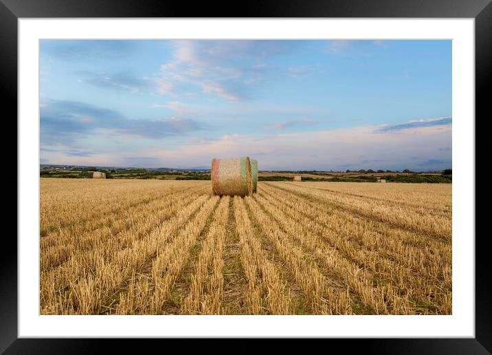 Hay bales in West Wales Framed Mounted Print by Leighton Collins