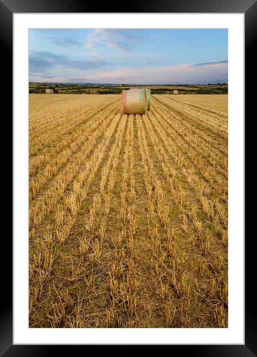 Rolled Hay bales in West Wales Framed Mounted Print by Leighton Collins