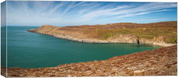 The Pembrokeshire coast Canvas Print by Leighton Collins