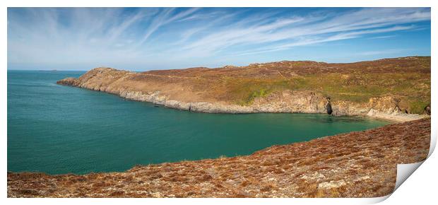 The Pembrokeshire coast Print by Leighton Collins