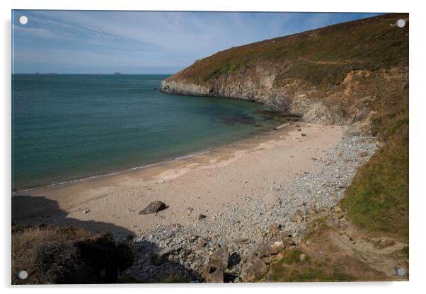 Porthmelgan Beach Acrylic by Leighton Collins