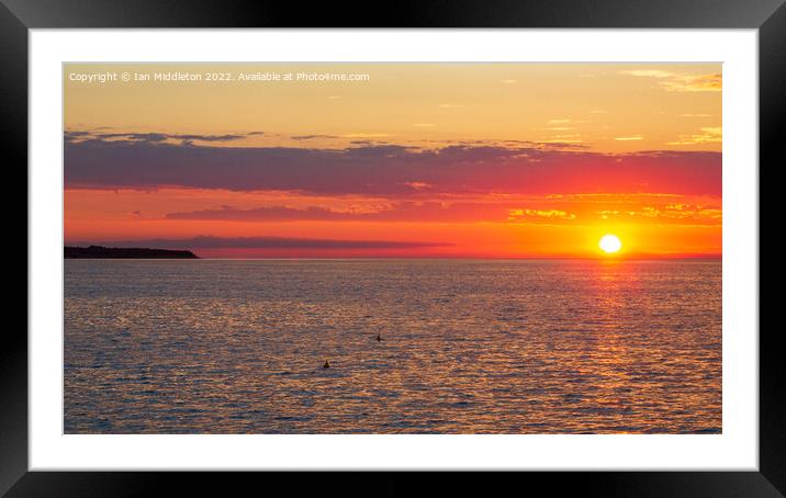 Adriatic Sunset Framed Mounted Print by Ian Middleton