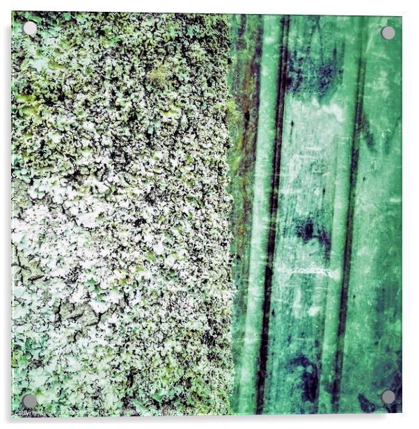 Green Lichen Abstract Acrylic by Errol D'Souza
