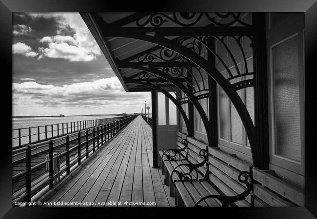 Taking shelter on the pier in Southend on Sea Framed Print by Ann Biddlecombe