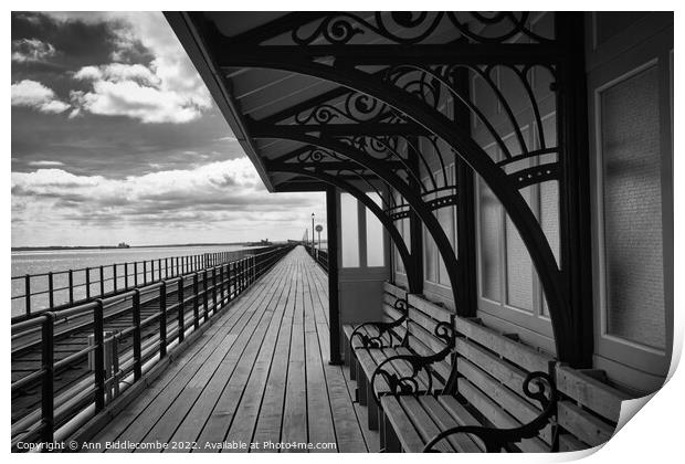 Taking shelter on the pier in Southend on Sea Print by Ann Biddlecombe