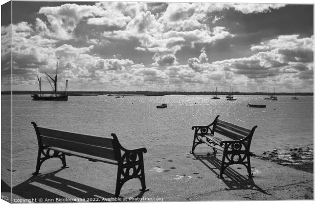A perfect view and a place for rest Canvas Print by Ann Biddlecombe
