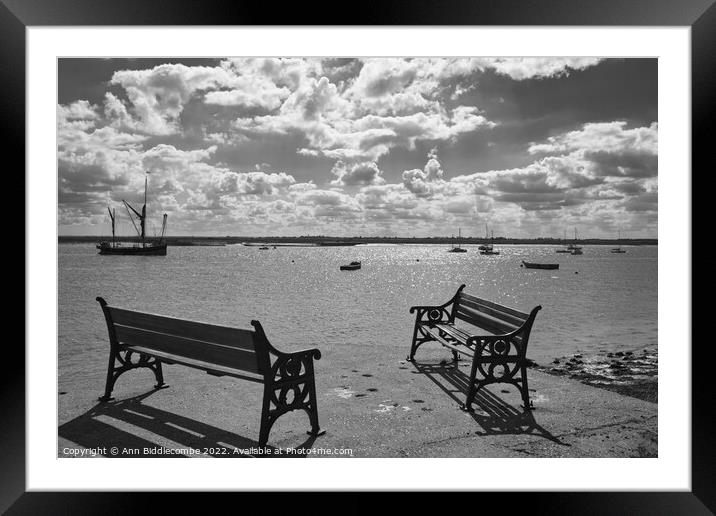 A perfect view and a place for rest Framed Mounted Print by Ann Biddlecombe