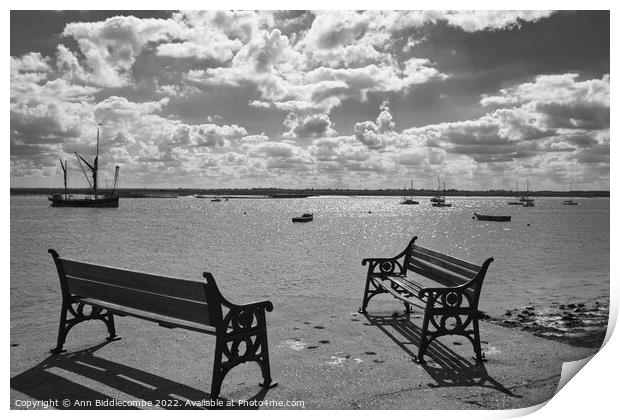 A perfect view and a place for rest Print by Ann Biddlecombe