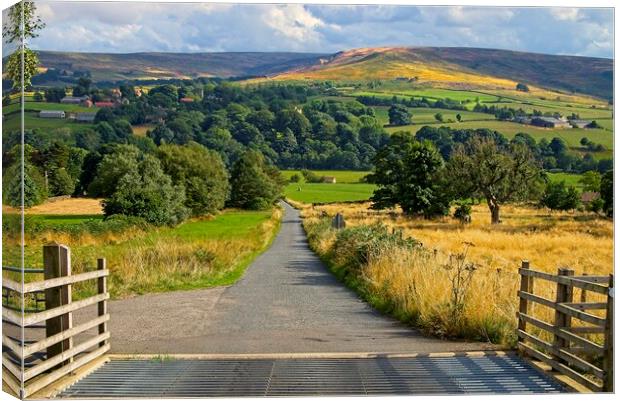Westerdale-Road to North York Moors National Park Canvas Print by Martyn Arnold