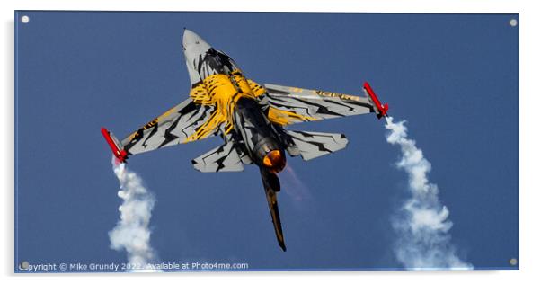 Belgian Airforce Tiger squadron Acrylic by Mike Grundy