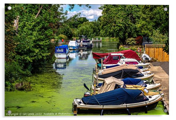 Boats Moored Above Goring Mill Acrylic by Ian Lewis