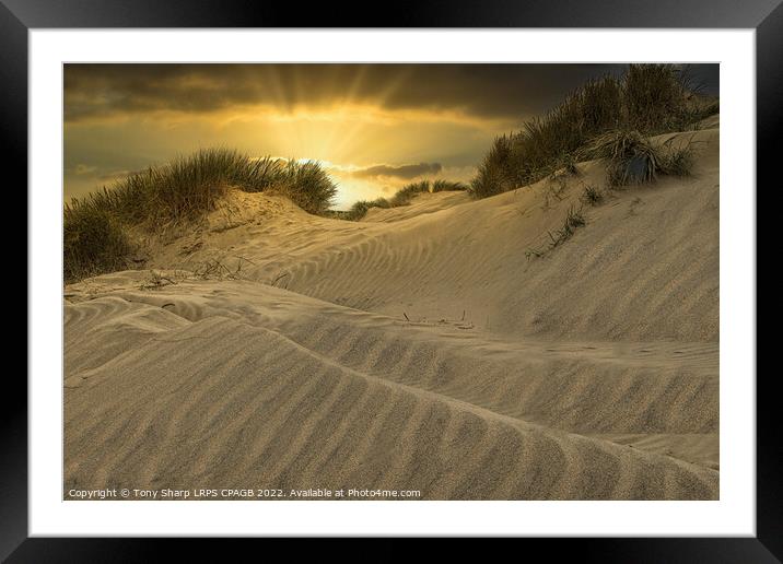 SUNSET ACROSS THE DUNES - CAMBER SANDS, EAST SUSSE Framed Mounted Print by Tony Sharp LRPS CPAGB