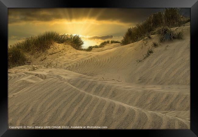 SUNSET ACROSS THE DUNES - CAMBER SANDS, EAST SUSSE Framed Print by Tony Sharp LRPS CPAGB