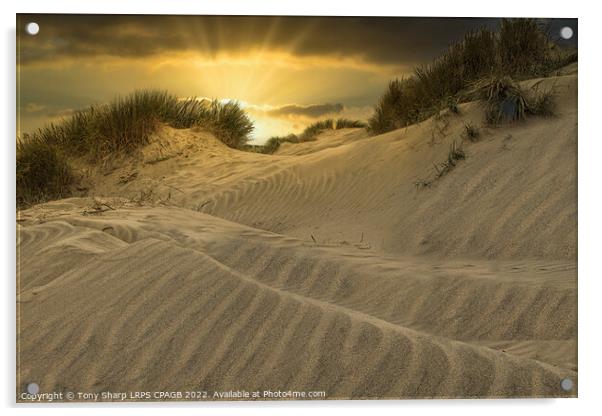 SUNSET ACROSS THE DUNES - CAMBER SANDS, EAST SUSSE Acrylic by Tony Sharp LRPS CPAGB