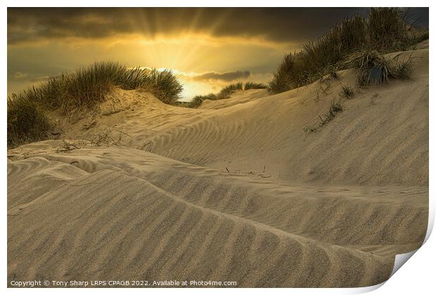 SUNSET ACROSS THE DUNES - CAMBER SANDS, EAST SUSSE Print by Tony Sharp LRPS CPAGB