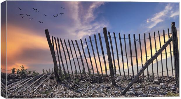 FENCELINE AT DAWN - RYE HARBOUR, EAST SUSSEX Canvas Print by Tony Sharp LRPS CPAGB