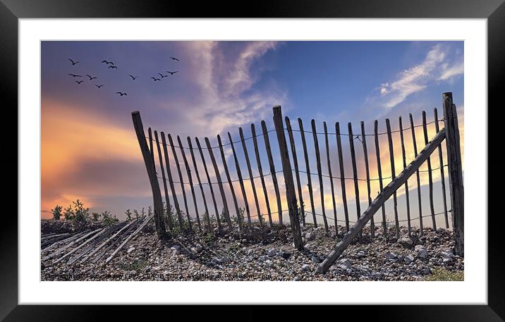 FENCELINE AT DAWN - RYE HARBOUR, EAST SUSSEX Framed Mounted Print by Tony Sharp LRPS CPAGB