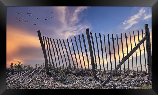 FENCELINE AT DAWN - RYE HARBOUR, EAST SUSSEX Framed Print by Tony Sharp LRPS CPAGB