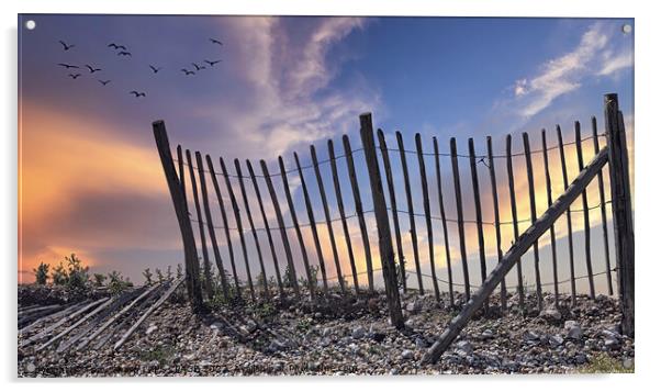 FENCELINE AT DAWN - RYE HARBOUR, EAST SUSSEX Acrylic by Tony Sharp LRPS CPAGB