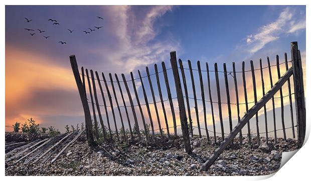 FENCELINE AT DAWN - RYE HARBOUR, EAST SUSSEX Print by Tony Sharp LRPS CPAGB