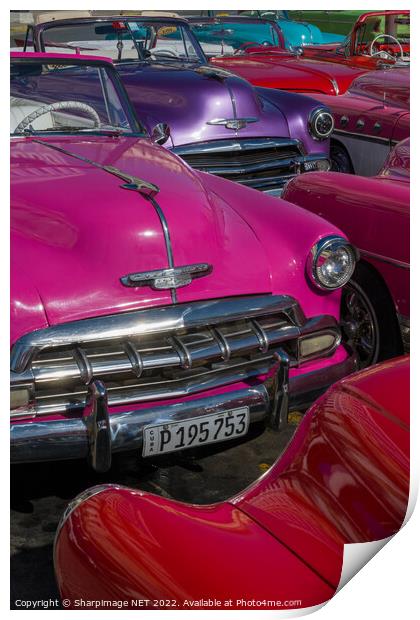 Classic Cars in Havana Print by Sharpimage NET