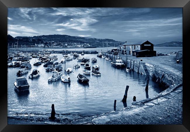 Lyme Regis Harbour   Framed Print by Darren Galpin