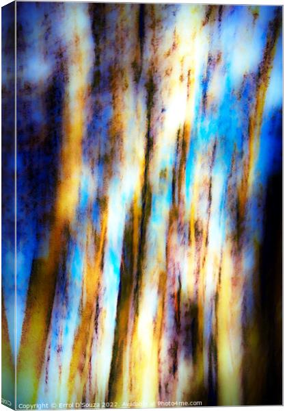 Abstract Tree Trunks Canvas Print by Errol D'Souza