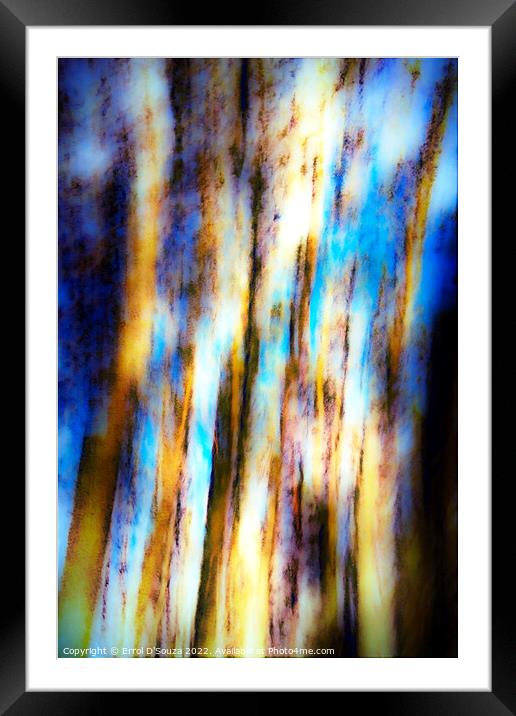 Abstract Tree Trunks Framed Mounted Print by Errol D'Souza