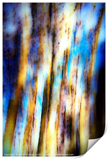 Abstract Tree Trunks Print by Errol D'Souza